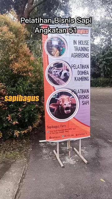 Pelatihan-Sapibagus-51